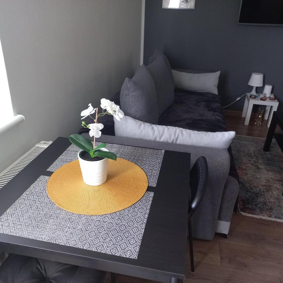 Апартаменты Apartament Plater Прущ-Гданьски Экстерьер фото
