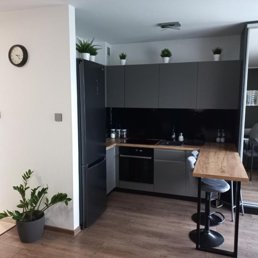 Апартаменты Apartament Plater Прущ-Гданьски Экстерьер фото